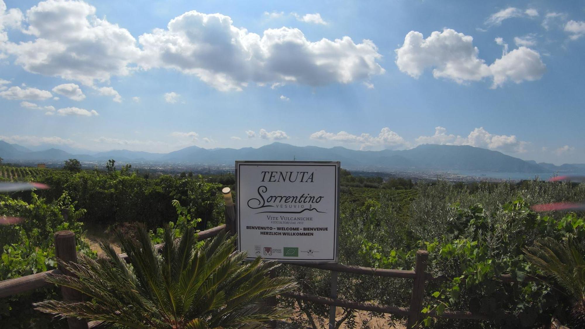Vesuvio Inn Bed & Wine Experience Boscotrecase Exterior foto